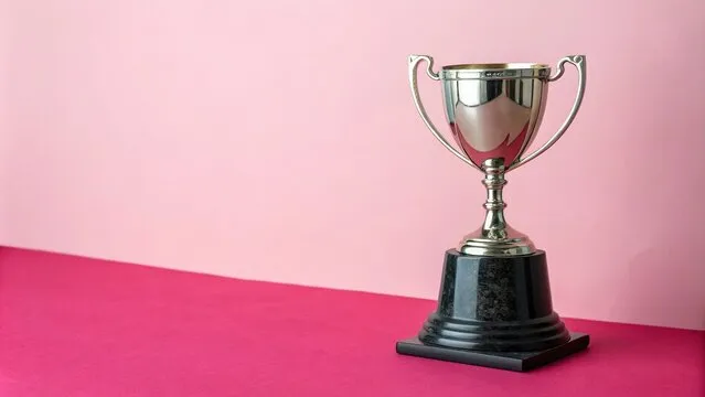 合作伙伴标志 2